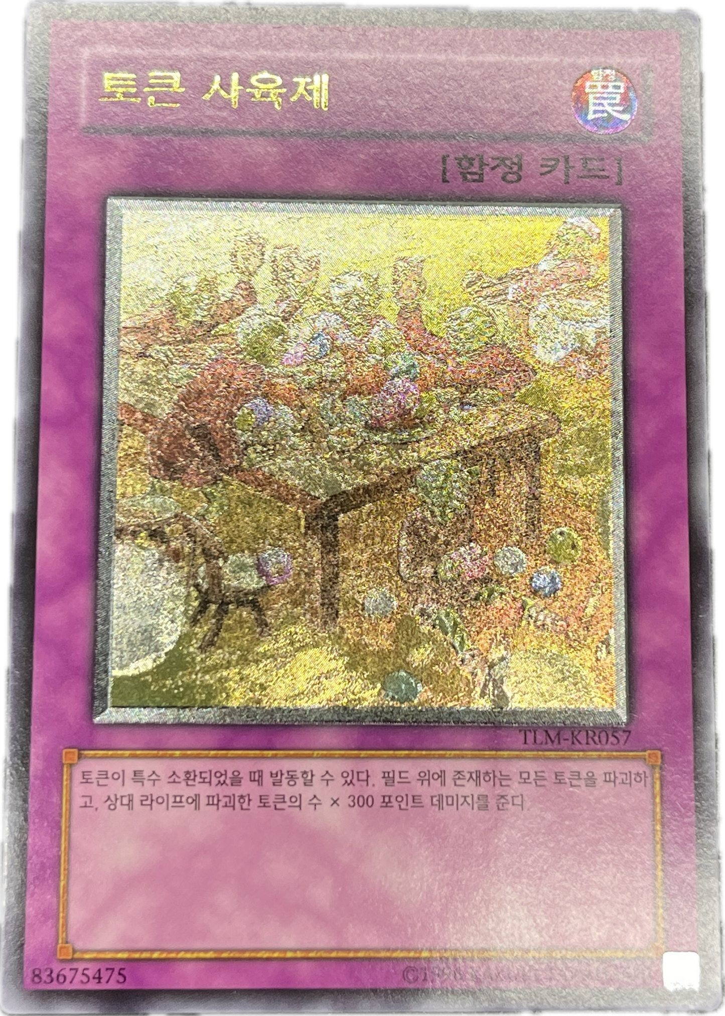 遊戯王 トークン謝肉祭/レリーフ/韓国