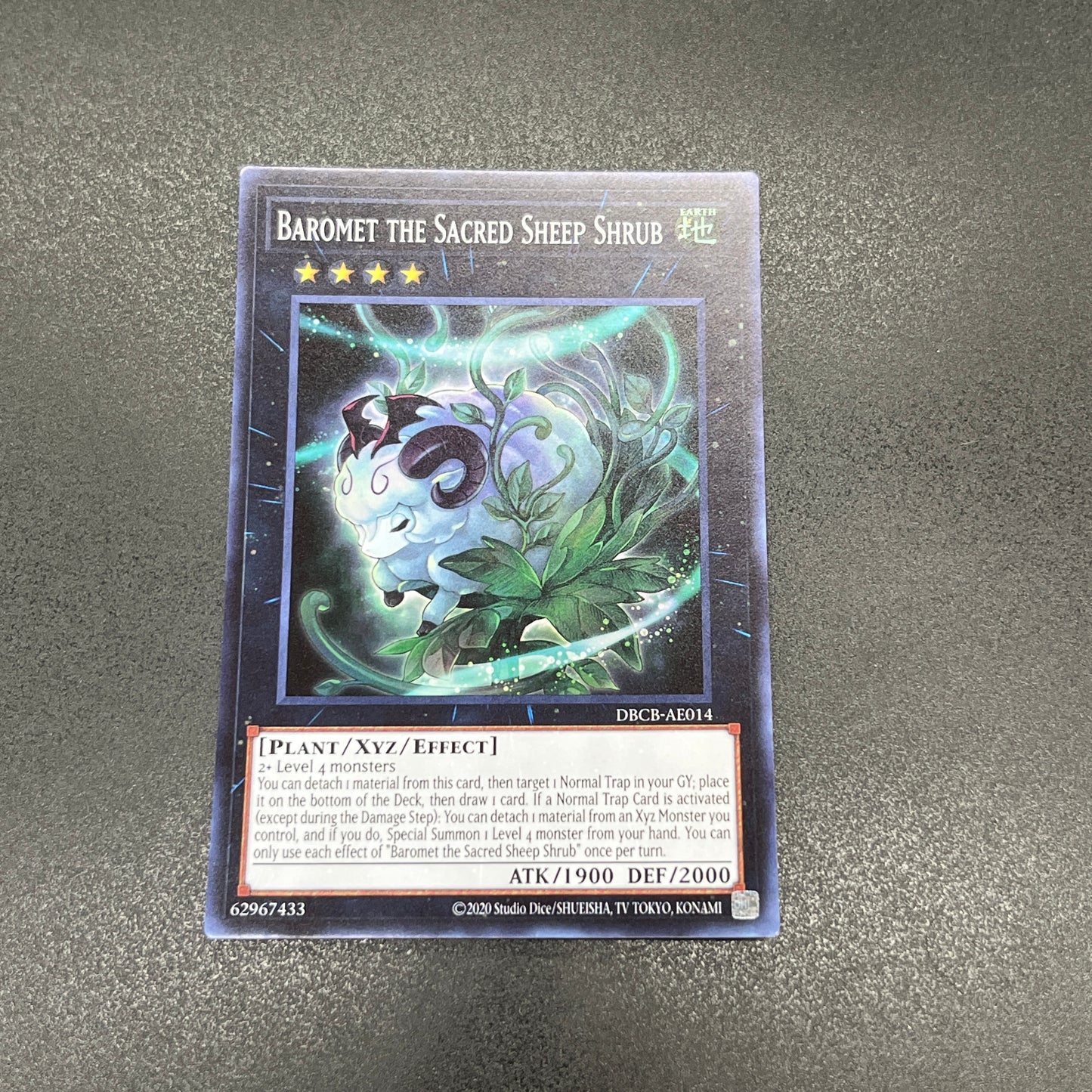 遊戯王 神羊樹バロメット/スーパー/英語/泰亜版