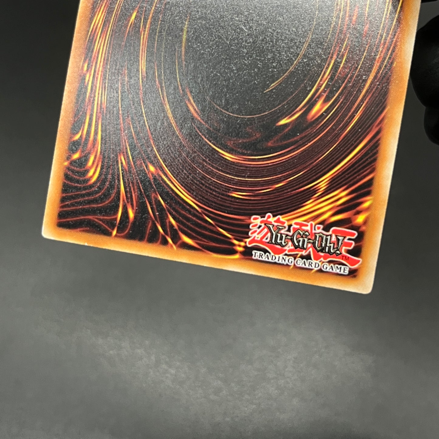 遊戯王 トゥーン・ハーピィ・レディ/コレクターズ/ドイツ/EU版