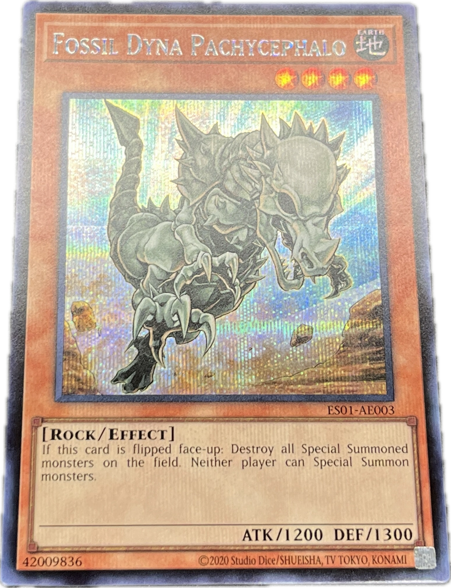 遊戯王 フォッシル・ダイナ・パキケファロ/シークレット/英語/泰亜版