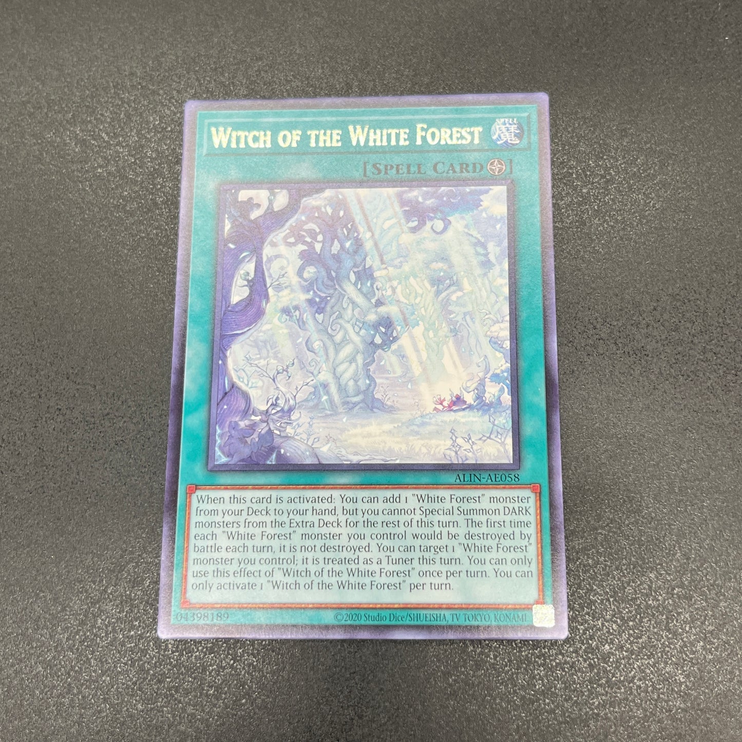 遊戯王 白き森の魔女/レア/英語/泰亜版