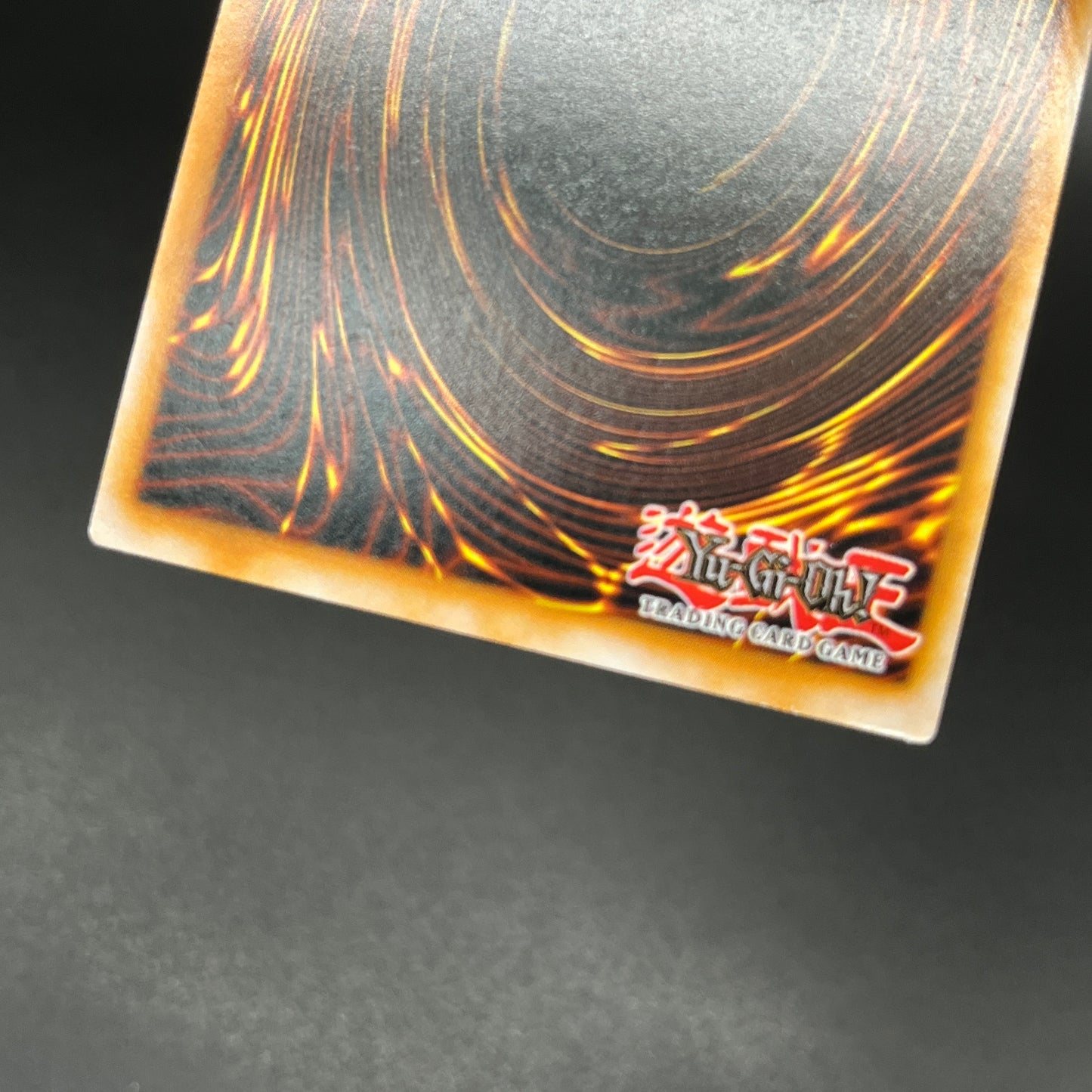 遊戯王 トゥーン・ハーピィ・レディ/コレクターズ/英語/EU版