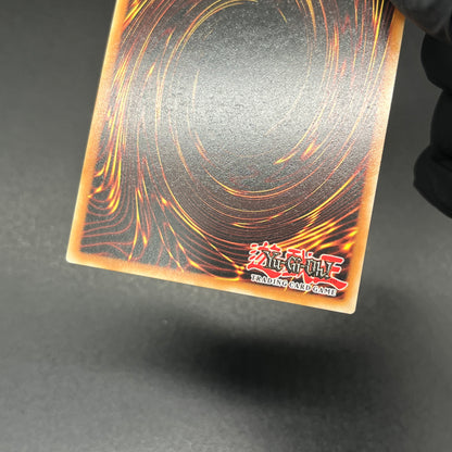 遊戯王　Ｍ∀ＬＩＣＥ＜Ｐ＞Ｄｏｒｍｏｕｓｅ/コレクターズ/英語/1st/EU