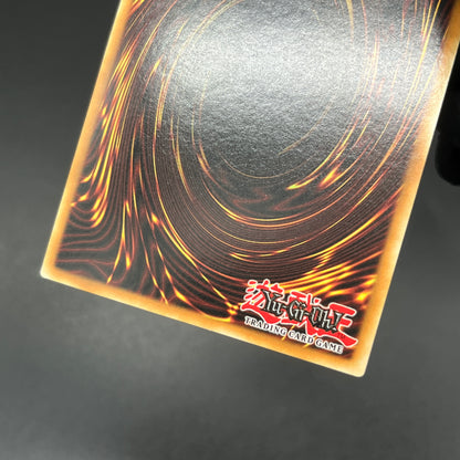 遊戯王　ハーピィ・レディ・ＳＢ/シークレット/英語/北米版