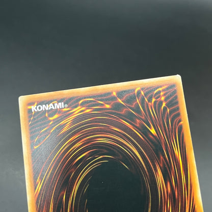 遊戯王　リンク・スパイダー/レリーフ/ドイツ/EU版