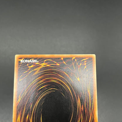 遊戯王　異次元の落とし穴/レリーフ/ドイツ語/EU版