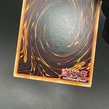 遊戯王　悪魔竜ブラック・デーモンズ・ドラゴン/レリーフ/イタリア/1st/EU版