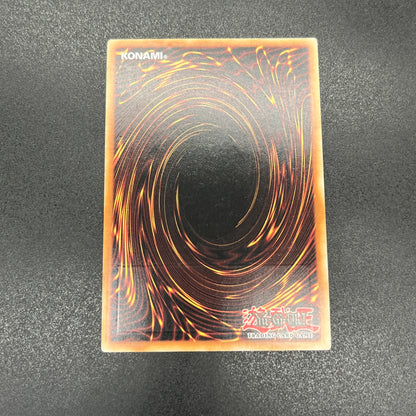 遊戯王　ブラック・マジシャン/レリーフ/イタリア語/1st/EU版