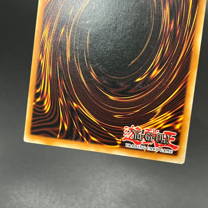 遊戯王　マスターモンク/レリーフ/ドイツ語/1st/EU版