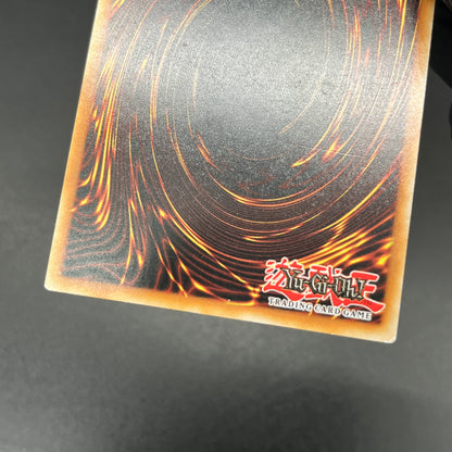 遊戯王　青眼の白龍/ウルトラ/ドイツ/EU版