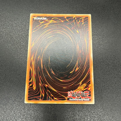 遊戯王　超雷龍－サンダー・ドラゴン/レリーフ/フランス/EU版