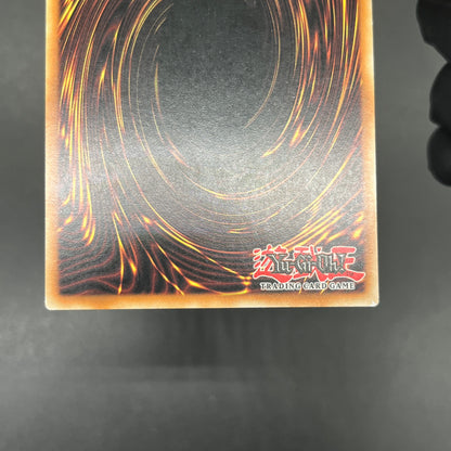 遊戯王　ダーク・ホルス・ドラゴン/レリーフ/ドイツ/1st/EU版