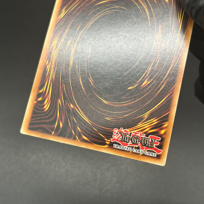 遊戯王　不死王リッチー/ウルトラ/ドイツ/EU版