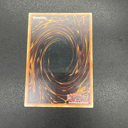 遊戯王　Ｎｏ.５３ 偽骸神 Ｈｅａｒｔ－ｅａｒｔＨ/レリーフ/ドイツ語/1st/EU版