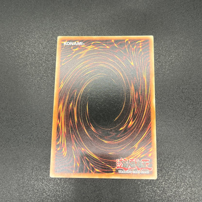 遊戯王　青眼の白龍/ウルトラ/英語/EU版