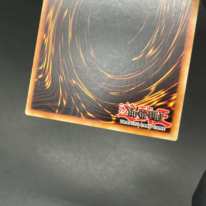 遊戯王　メンタルオーバー・デーモン/レリーフ/ドイツ/1st/EU版