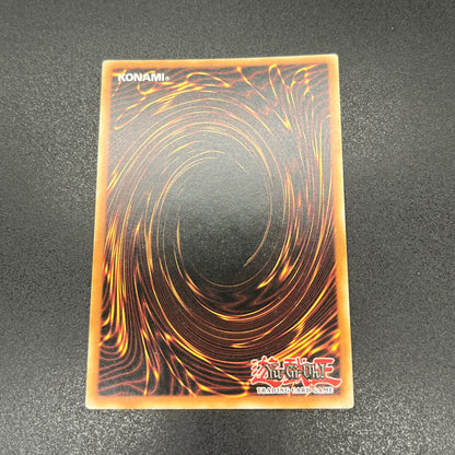 遊戯王　青眼の白龍/ウルトラ/ドイツ/EU版