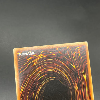 遊戯王　Ｄ－ＨＥＲＯ ダイヤモンドガイ/レリーフ/イタリア/EU版