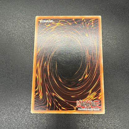 遊戯王　漆黒の魔王 ＬＶ６/レリーフ/ドイツ語/1st/EU