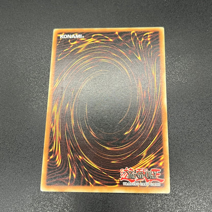 遊戯王　与奪の首飾り/レリーフ/ドイツ語/EU版