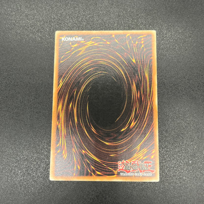 遊戯王　幻魔の殉教者/レリーフ/ドイツ語/EU版