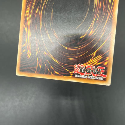 遊戯王　奇跡の蘇生/レリーフ/ドイツ語/EU版