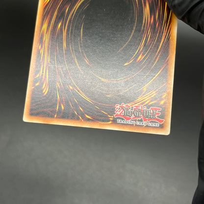 遊戯王　ホープ・オブ・フィフス/レリーフ/ドイツ語/EU版