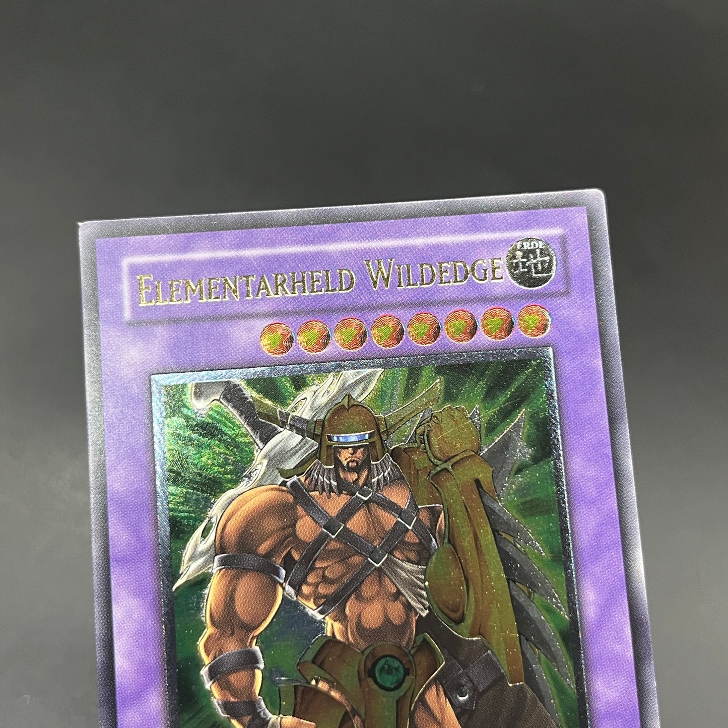 遊戯王　Ｅ・ＨＥＲＯ ワイルドジャギーマン/レリーフ/ドイツ語/1st/EU版