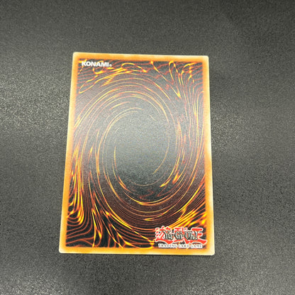 遊戯王　青眼の白龍/シークレット/英語/1st/EU版