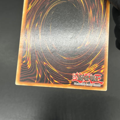 遊戯王　Ｄ－ＨＥＲＯ ダイヤモンドガイ/レリーフ/イタリア/EU版