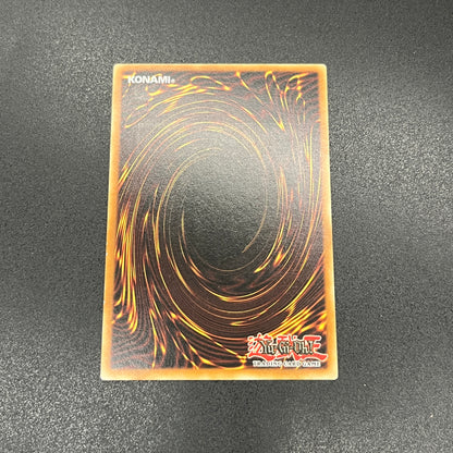 遊戯王　ヒーロー・バリア/レリーフ/ドイツ語/1st/EU版