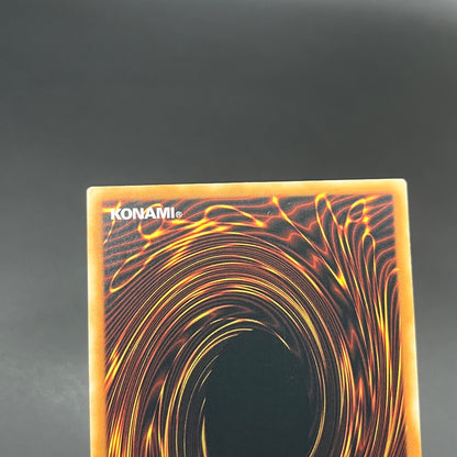 遊戯王　聖殿の水遣い/レリーフ/英語/EU版