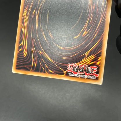 遊戯王　宝玉獣 トパーズ・タイガー/レリーフ/ドイツ語/EU版