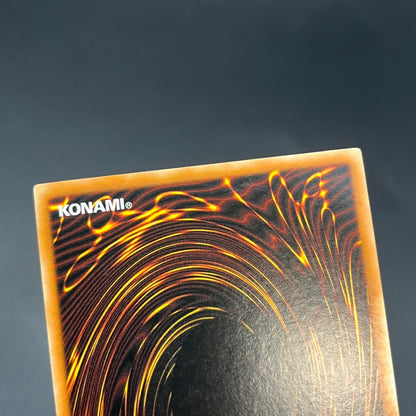 遊戯王　真紅眼の黒竜/ウルトラ/ドイツ/1st/EU版