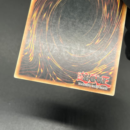 遊戯王　死のデッキ破壊ウイルス/レリーフ/スペイン/1st/EU版