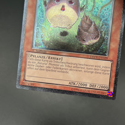 遊戯王　ナチュル・バンブーシュート/レリーフ/ドイツ/1st/EU版