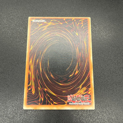 遊戯王　聖殿の水遣い/レリーフ/英語/EU版