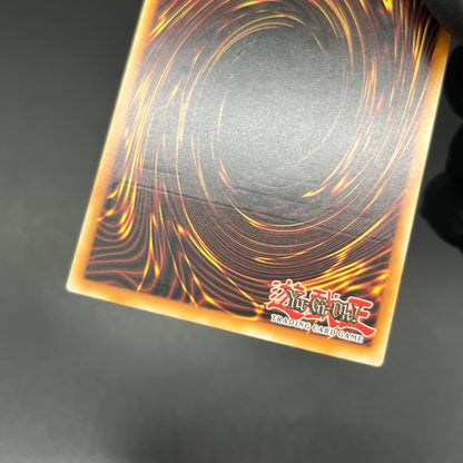 遊戯王　エルシャドール・シェキナーガ/レリーフ/ドイツ語/1st/EU版