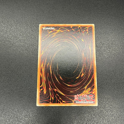 遊戯王　ブラック・マジシャン・ガール/シークレット/フランス語/1st