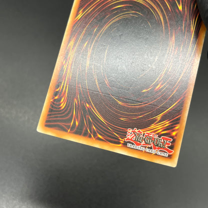 遊戯王　悪魔竜ブラック・デーモンズ・ドラゴン/レリーフ/イタリア/1st/EU版