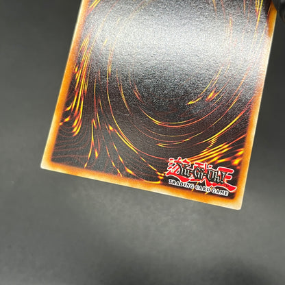 遊戯王　ホーリー・ナイト・ドラゴン/シークレット/英語