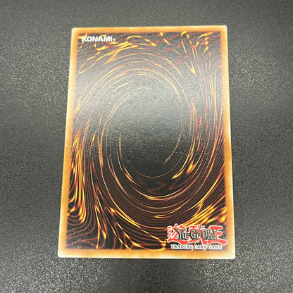 遊戯王　ハングリーバーガー/コレクターズレア/英語/EU版/1st