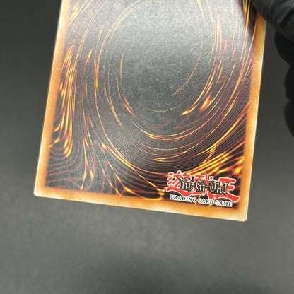 遊戯王　聖殿の水遣い/レリーフ/英語/EU版