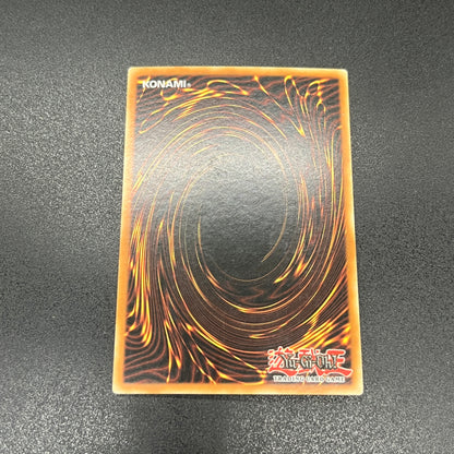 遊戯王　寄生虫パラサイド/スーパー/ドイツ/EU