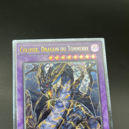 遊戯王　超雷龍－サンダー・ドラゴン/レリーフ/フランス/EU版