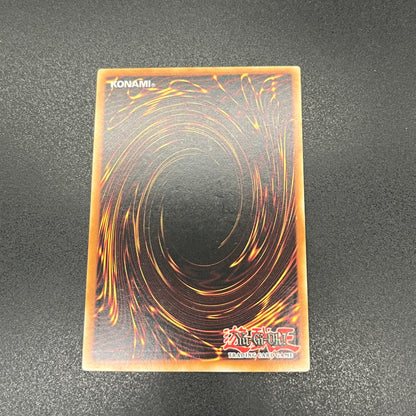 遊戯王　悪魔竜ブラック・デーモンズ・ドラゴン/レリーフ/イタリア/1st/EU版