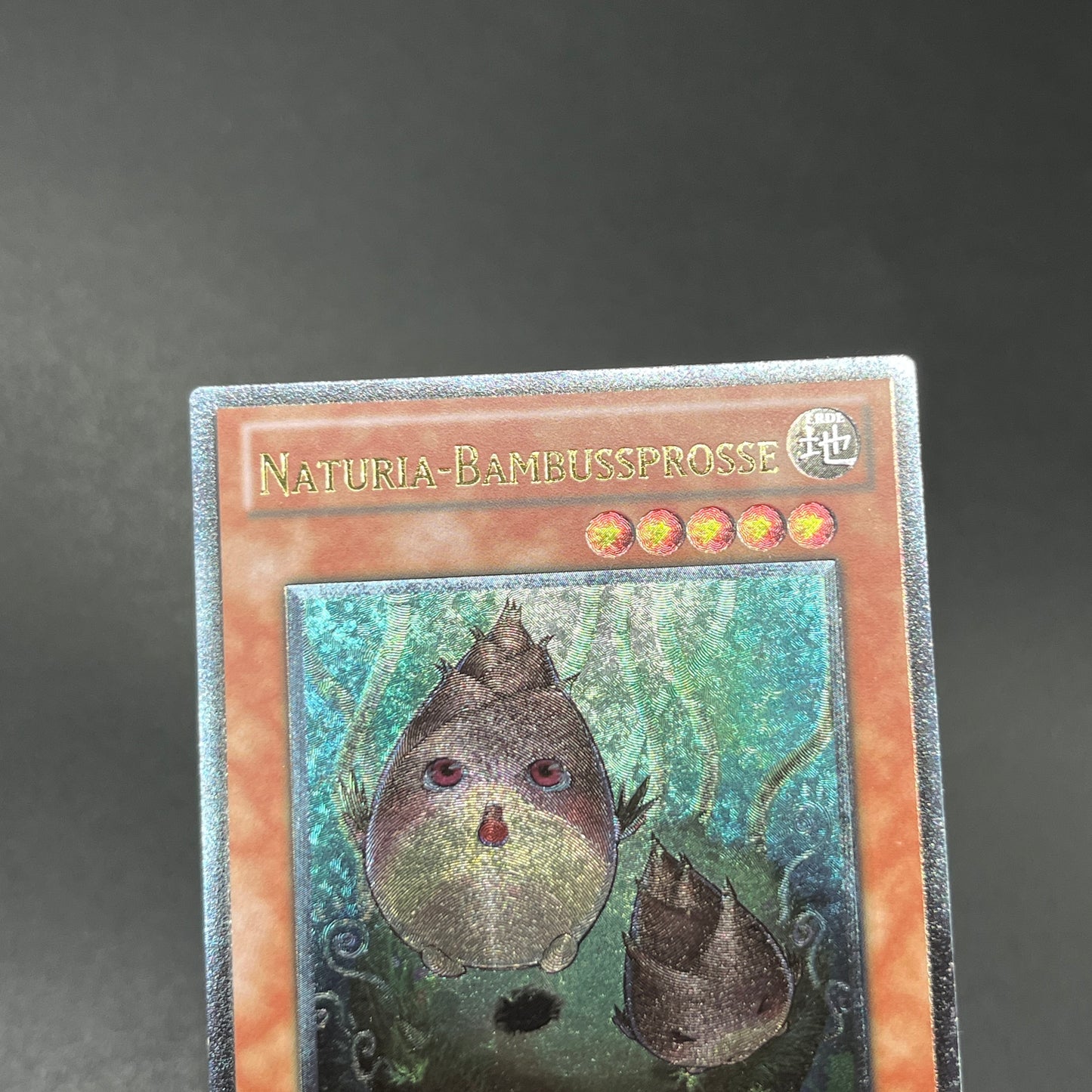 遊戯王　ナチュル・バンブーシュート/レリーフ/ドイツ/1st/EU版