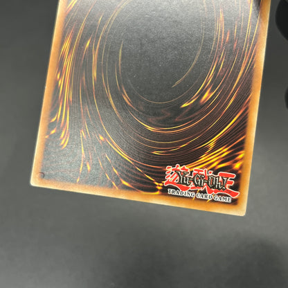 遊戯王　プロト・サイバー・ドラゴン/レリーフ/ドイツ語/EU版