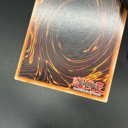 遊戯王　ダーク・シティ/レリーフ/ドイツ/EU版