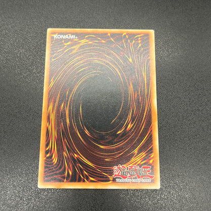 遊戯王　聖殿の水遣い/レリーフ/英語/EU版